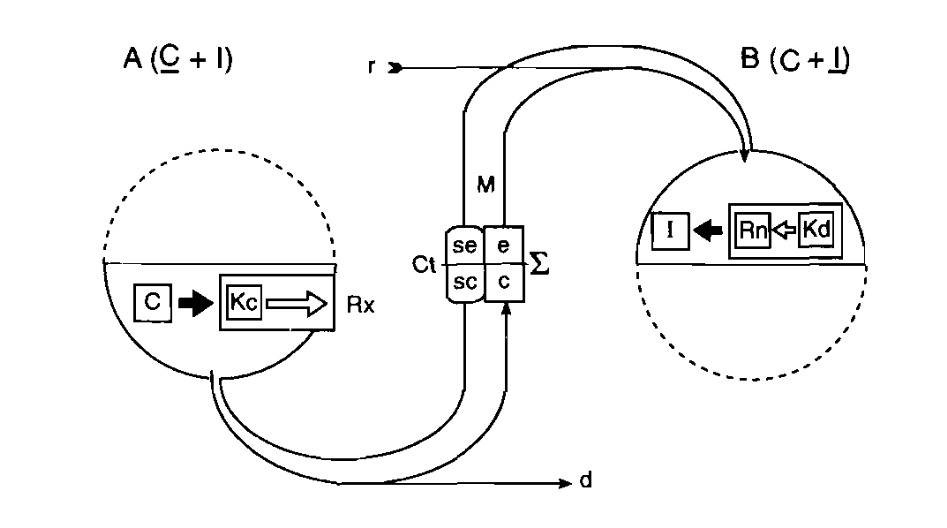 diagrama 5